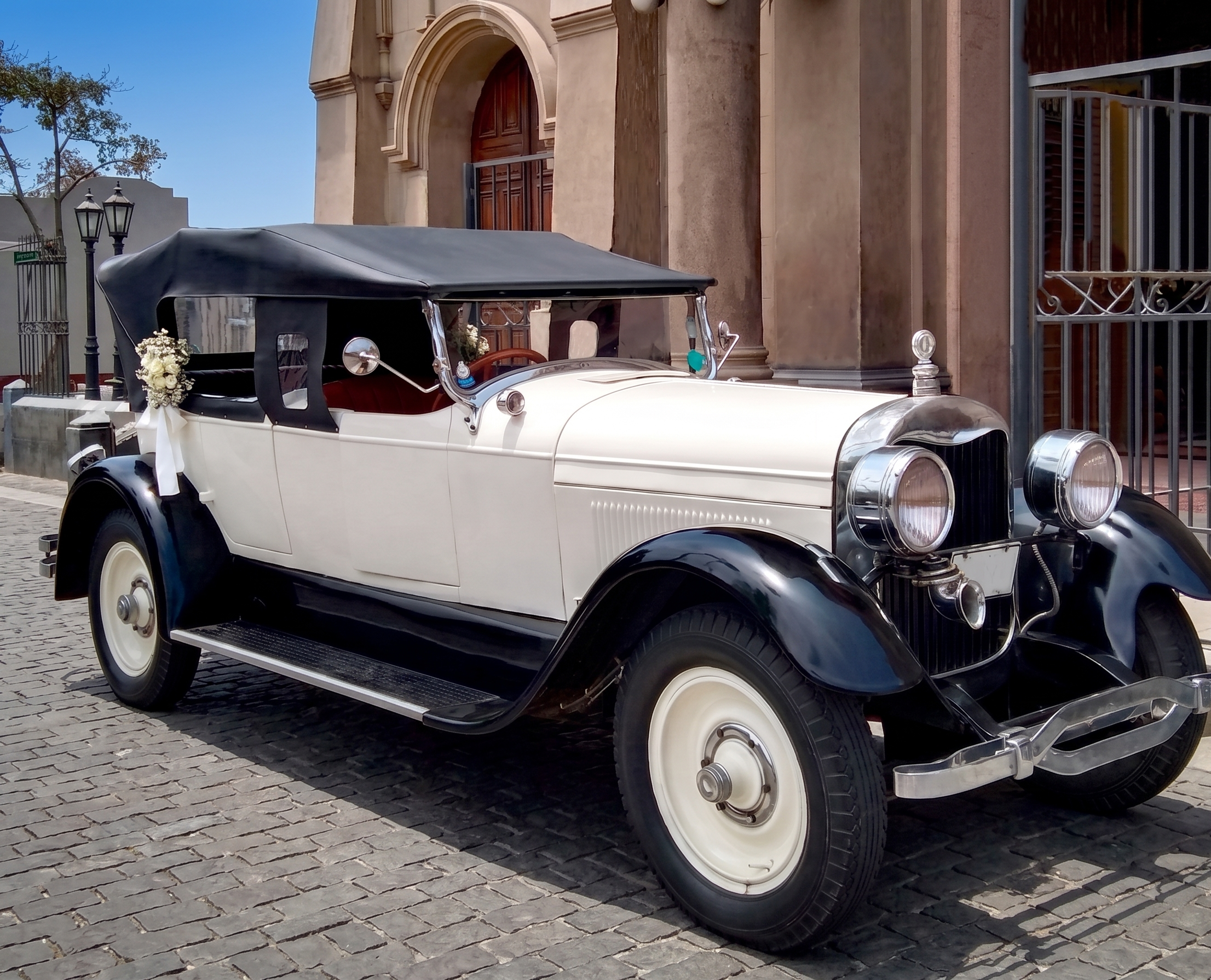 Nuestras Carcochitas